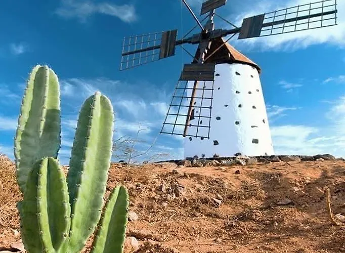 Amsterdam Lovely Appartamento