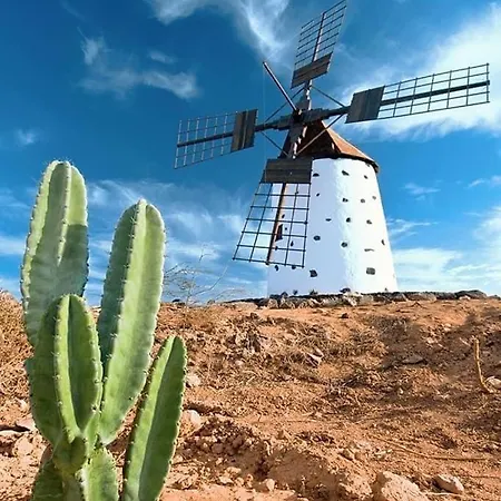 Amsterdam Lovely 아파트