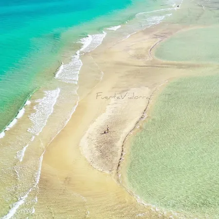 Amsterdam Lovely 그란 타라할