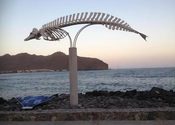 Апартаменты Amsterdam Lovely *