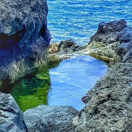 Amsterdam Lovely 公寓